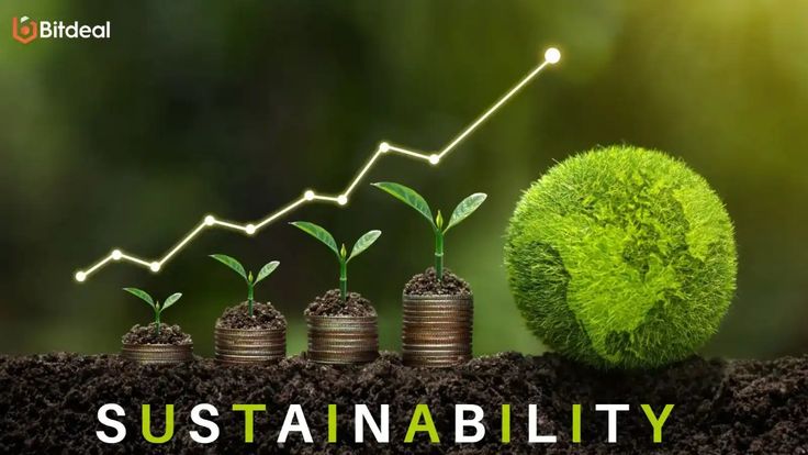 The Importance of Sustainability in Business Today 5