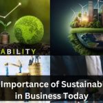 The Importance of Sustainability in Business Today 10