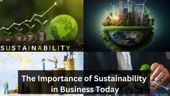 The Importance of Sustainability in Business Today 1