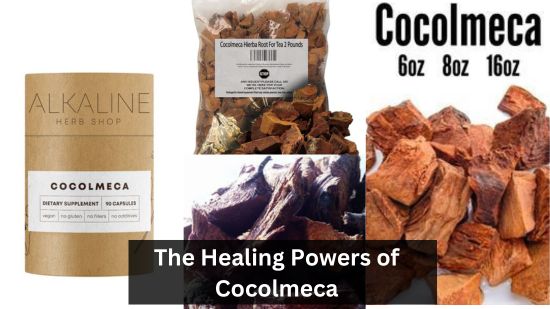 The Healing Powers of Cocolmeca 1