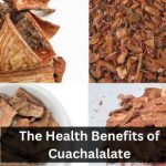 The Health Benefits of Cuachalalate 11