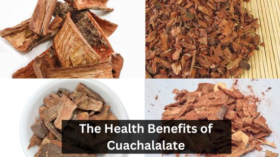 The Health Benefits of Cuachalalate 26