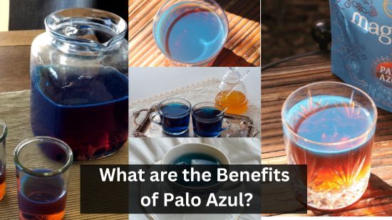 What are the Benefits of Palo Azul? 10