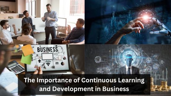 The Importance of Continuous Learning and Development in Business 2