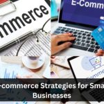 E-commerce Strategies for Small Businesses 12