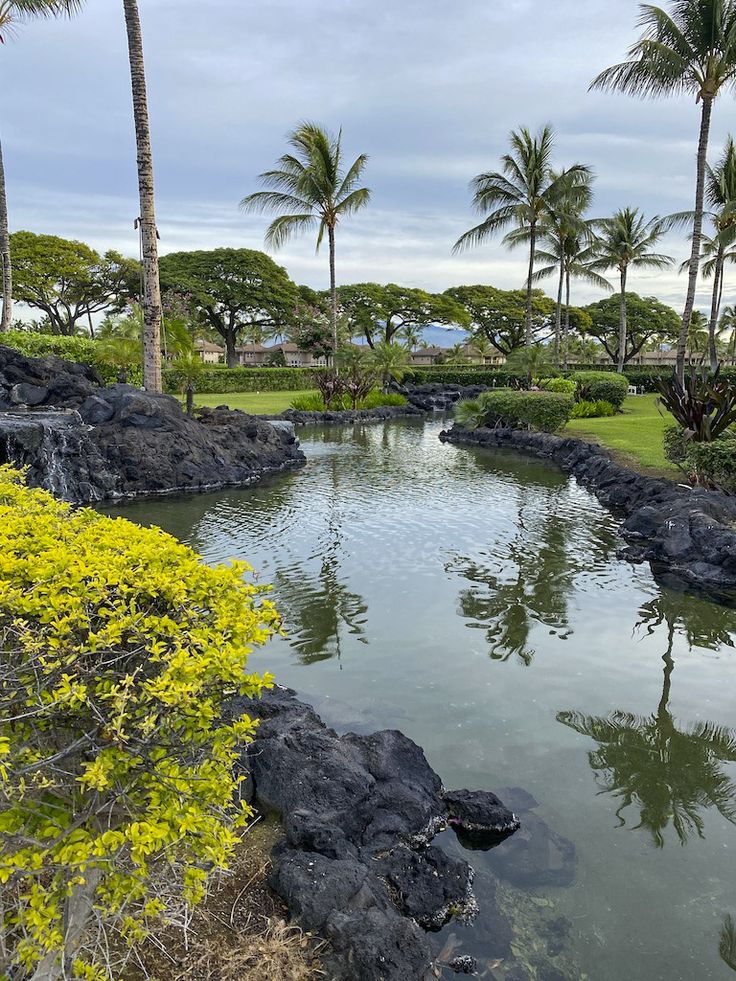 Which Hawaiian Island is Right for You? 9