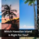 Which Hawaiian Island is Right for You? 24