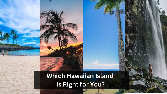 Which Hawaiian Island is Right for You? 26