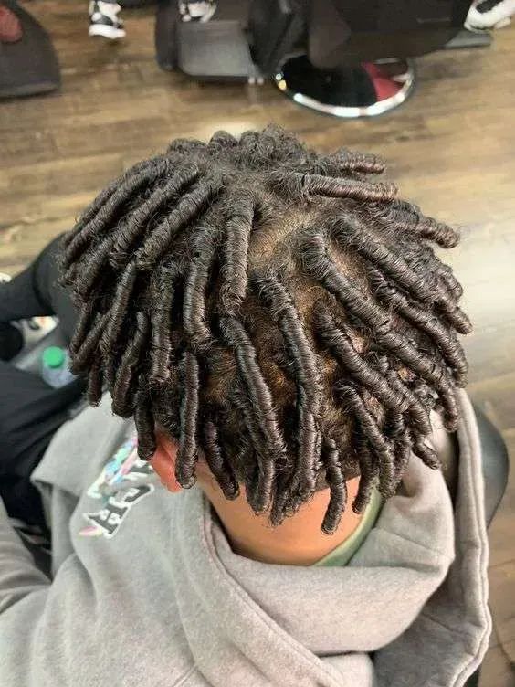 Twist Hairstyles for Men: 15 Trending Styles for Black Men 9